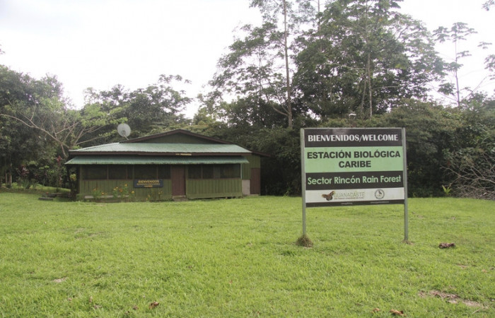 Figura 1. Estación Biológica Caribe, Sector Rincon Rain Forest, Area de Conservación Guanacaste, (ACG). Foto, Pablo Umaña.